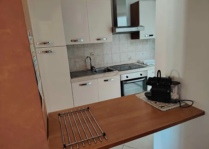 Adamagi Aurora مارينا دي بيسكولوس