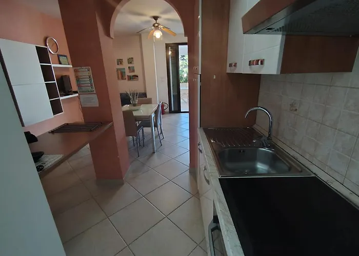 Adamagi Aurora * مارينا دي بيسكولوس